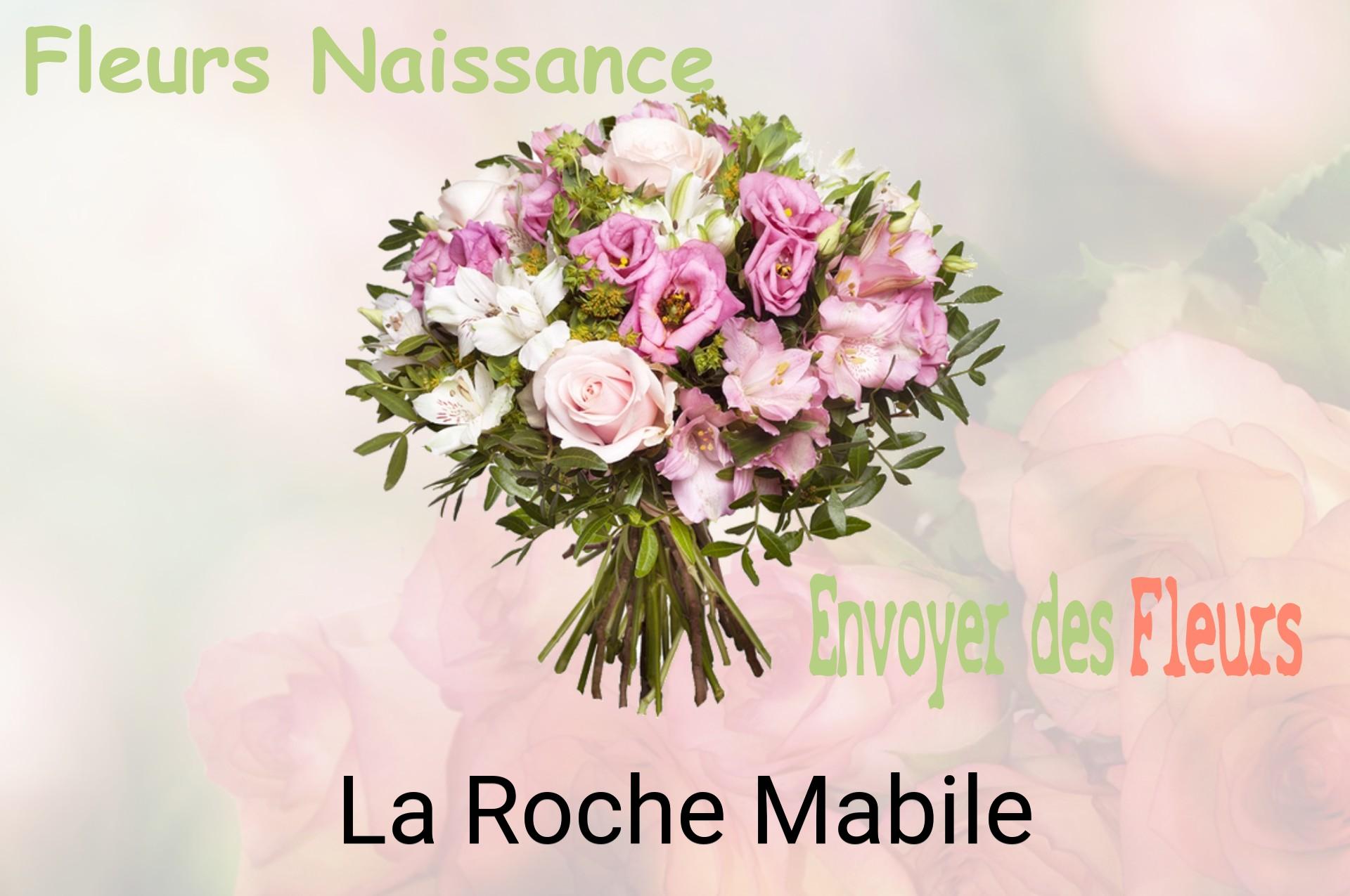 Bouquet de fleurs de naissance livré à La Roche-Mabile